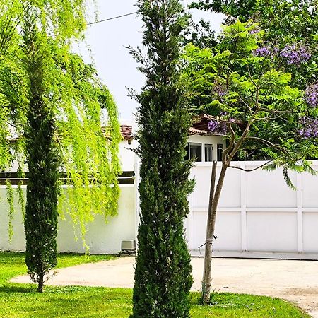 스키니아스 Seaside Jacaranda 아파트 외부 사진