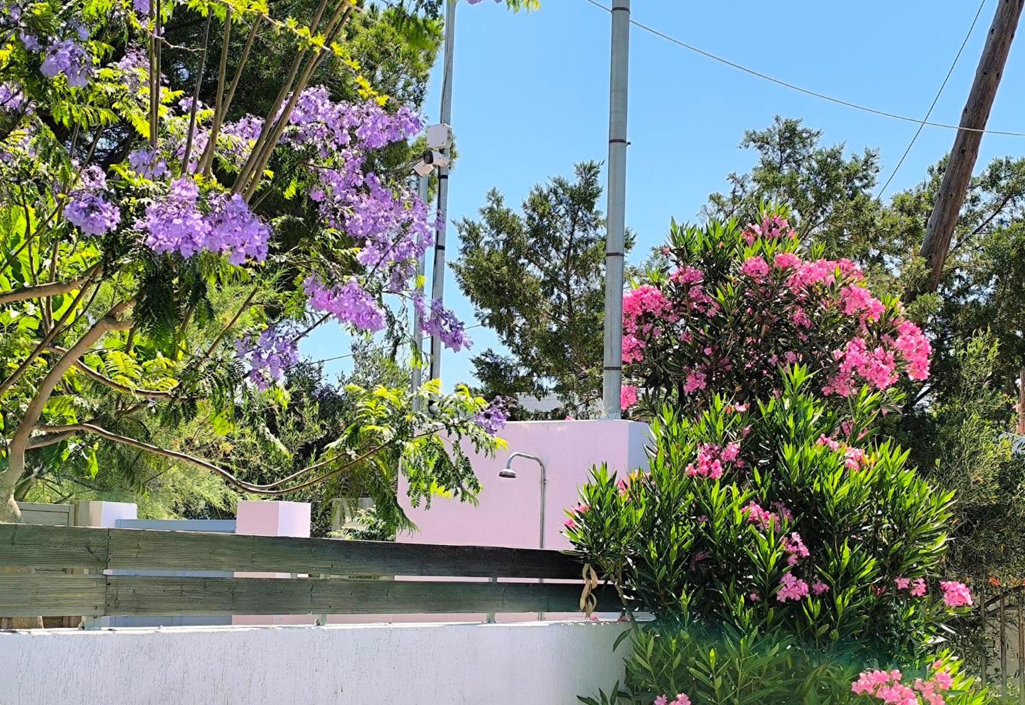 스키니아스 Seaside Jacaranda 아파트 외부 사진