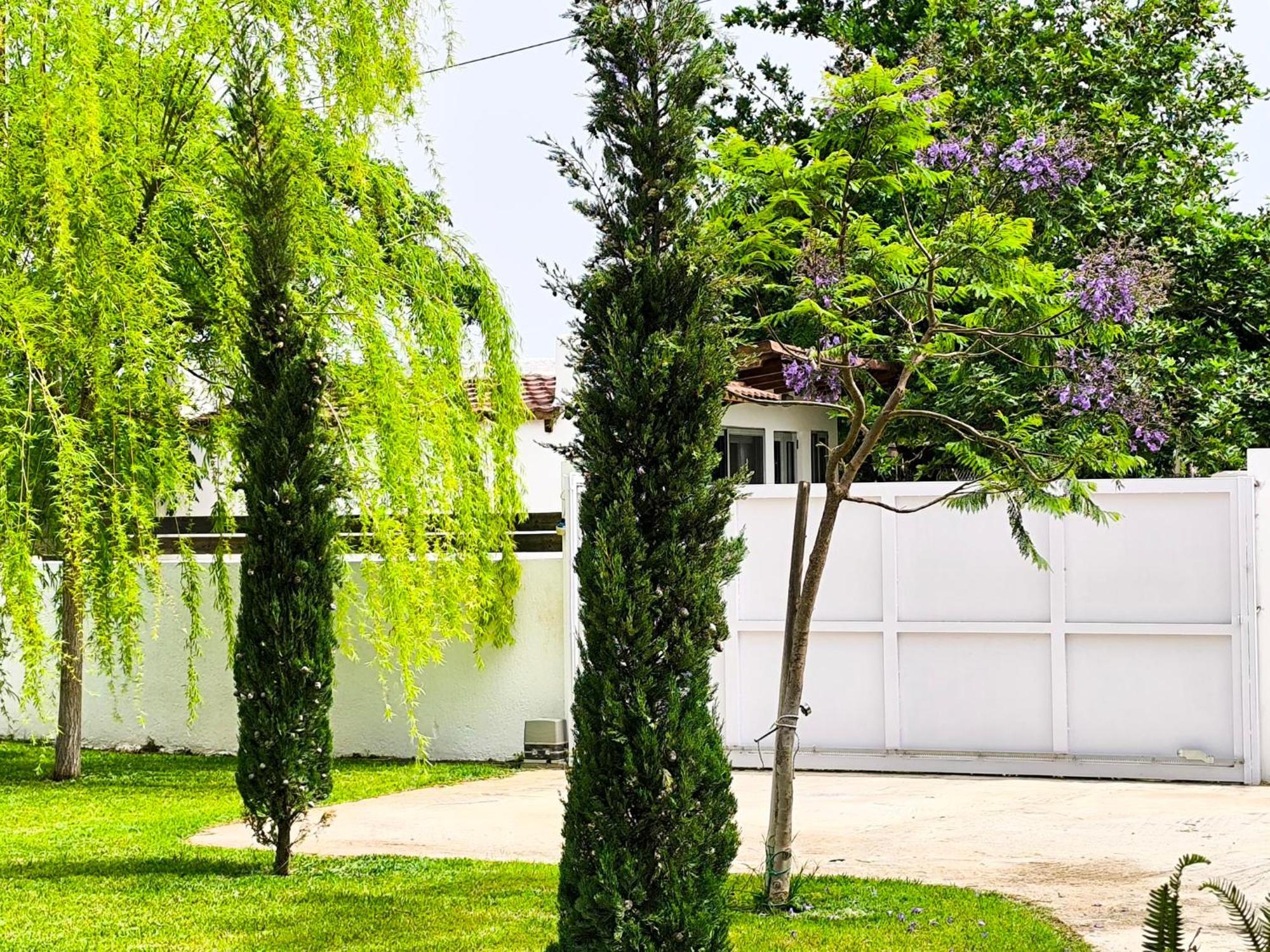 스키니아스 Seaside Jacaranda 아파트 외부 사진